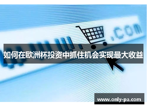 如何在欧洲杯投资中抓住机会实现最大收益