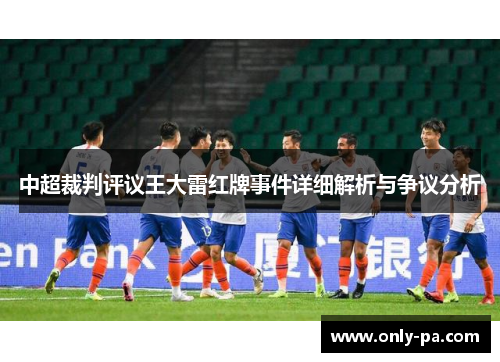 中超裁判评议王大雷红牌事件详细解析与争议分析