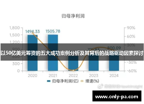 以50亿美元筹资的五大成功案例分析及其背后的战略驱动因素探讨