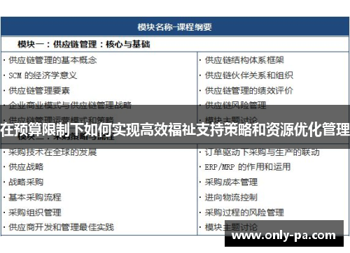 在预算限制下如何实现高效福祉支持策略和资源优化管理