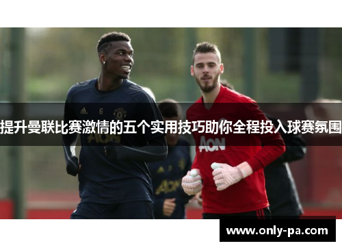 提升曼联比赛激情的五个实用技巧助你全程投入球赛氛围