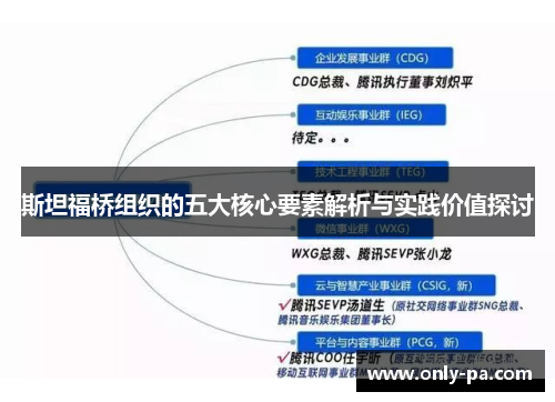斯坦福桥组织的五大核心要素解析与实践价值探讨