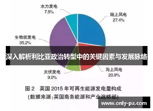 深入解析利比亚政治转型中的关键因素与发展脉络