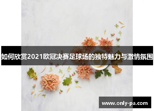 如何欣赏2021欧冠决赛足球场的独特魅力与激情氛围