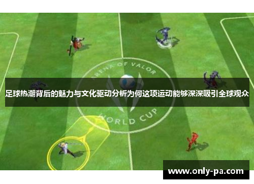 足球热潮背后的魅力与文化驱动分析为何这项运动能够深深吸引全球观众