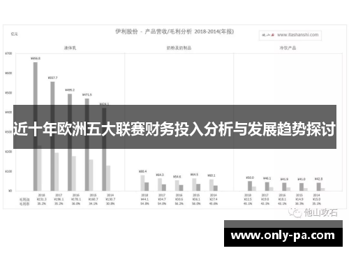 近十年欧洲五大联赛财务投入分析与发展趋势探讨