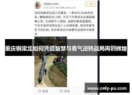 重庆铜梁龙如何凭借智慧与勇气逆转战局再创辉煌