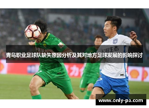 青岛职业足球队缺失原因分析及其对地方足球发展的影响探讨