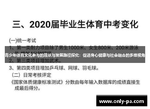 青少年体育文化参与的现状与发展路径探究：促进身心健康与社会融合的多维视角