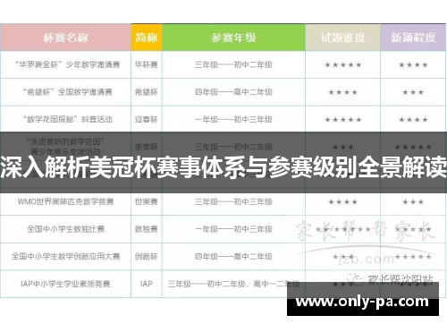 深入解析美冠杯赛事体系与参赛级别全景解读