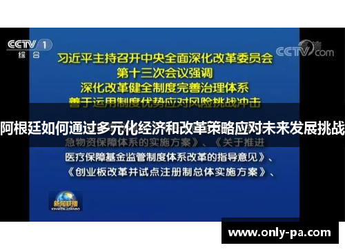 阿根廷如何通过多元化经济和改革策略应对未来发展挑战