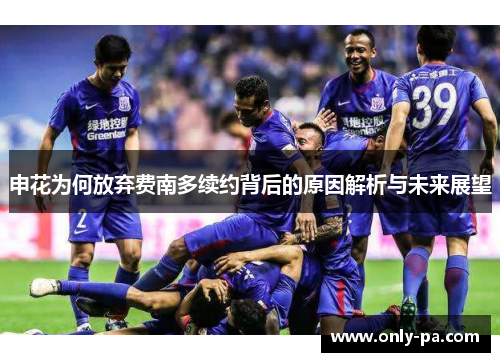 申花为何放弃费南多续约背后的原因解析与未来展望