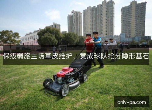 保级弱旅主场草皮维护,竟成球队抢分隐形基石 保级弱旅主场草皮维护,竟成球队抢分隐形基石